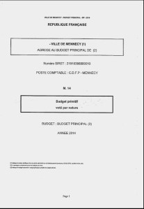 Image budget primitif CM 29 avril 2014