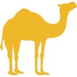 dromadaire jaune